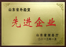 公司荣誉