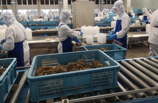 long8龙8官方网站图片