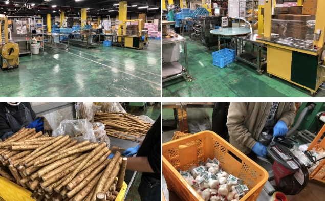 long8龙8官方网站图片