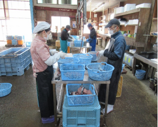 long8龙8官方网站图片