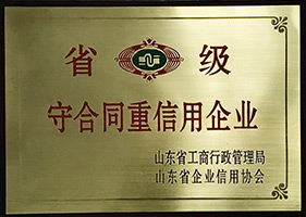 公司荣誉